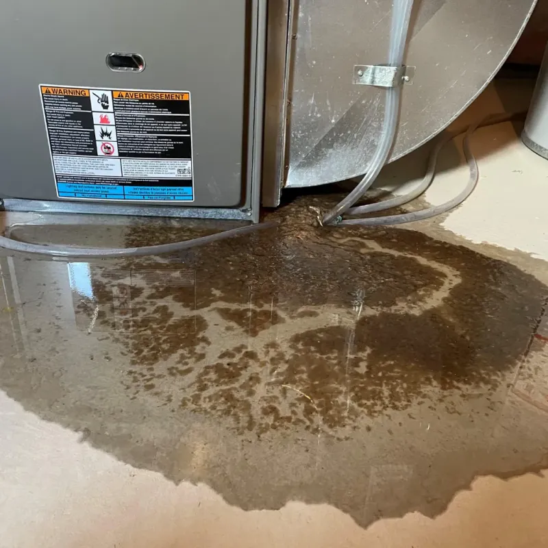 Appliance Leak Cleanup in Double Springs, AL